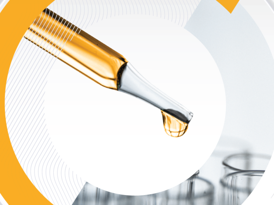 Supply Chain Resilience and Collaboration