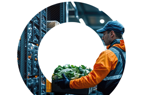 A warehouse worker in an orange jacket and blue cap carries a crate of fresh green lettuce, framed by a circular graphic overlay.
