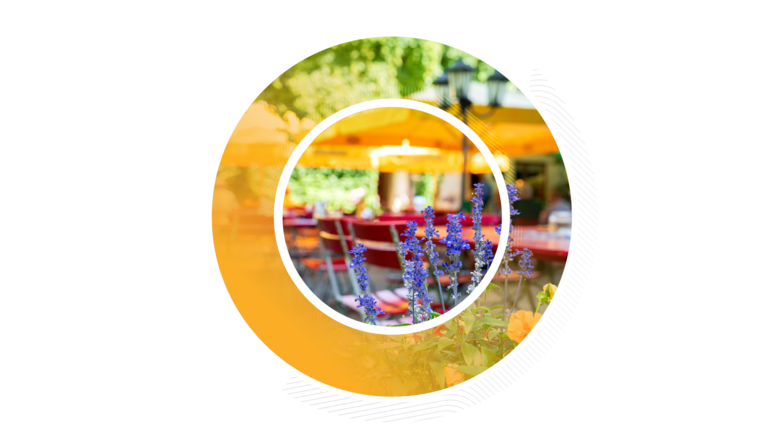 Nahaufnahme von lila Blumen im Vordergrund mit einer unscharfen Restaurant-Außenterrasse und gelben Sonnenschirmen im Hintergrund.