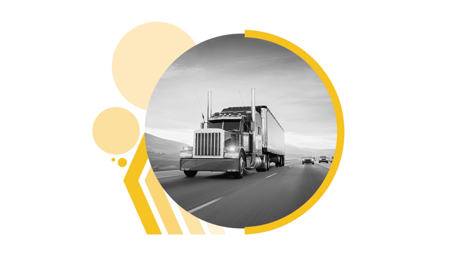 Argus Logistics: the value and efficiencies gained through a successful ...