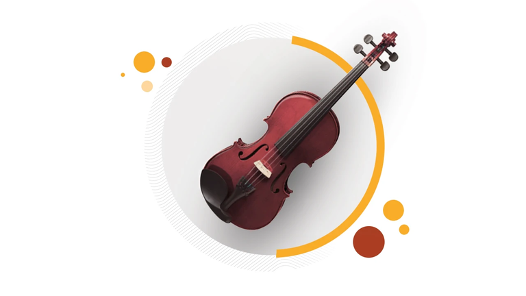 Close-up of a violin, representing Thomann's improved logistics results