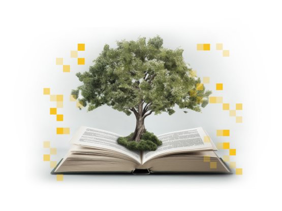 Sustainability made Simple