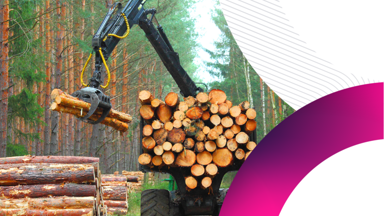 A timber forwarder uses a hydraulic crane to lift logs onto a full payload in a pine forest, framed by a curved black and pink graphic overlay.